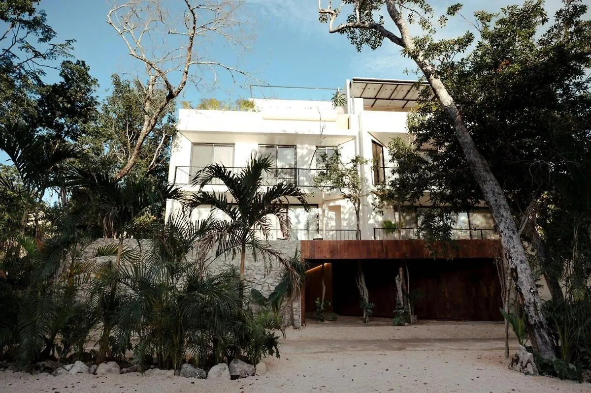 דירות 3 Bed Lux Penthouse Luum Zama טולום 0*,  מקסיקו